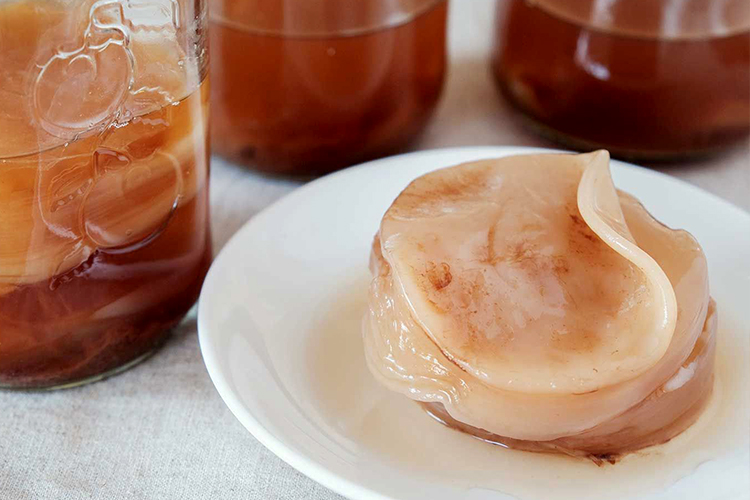 kombucha